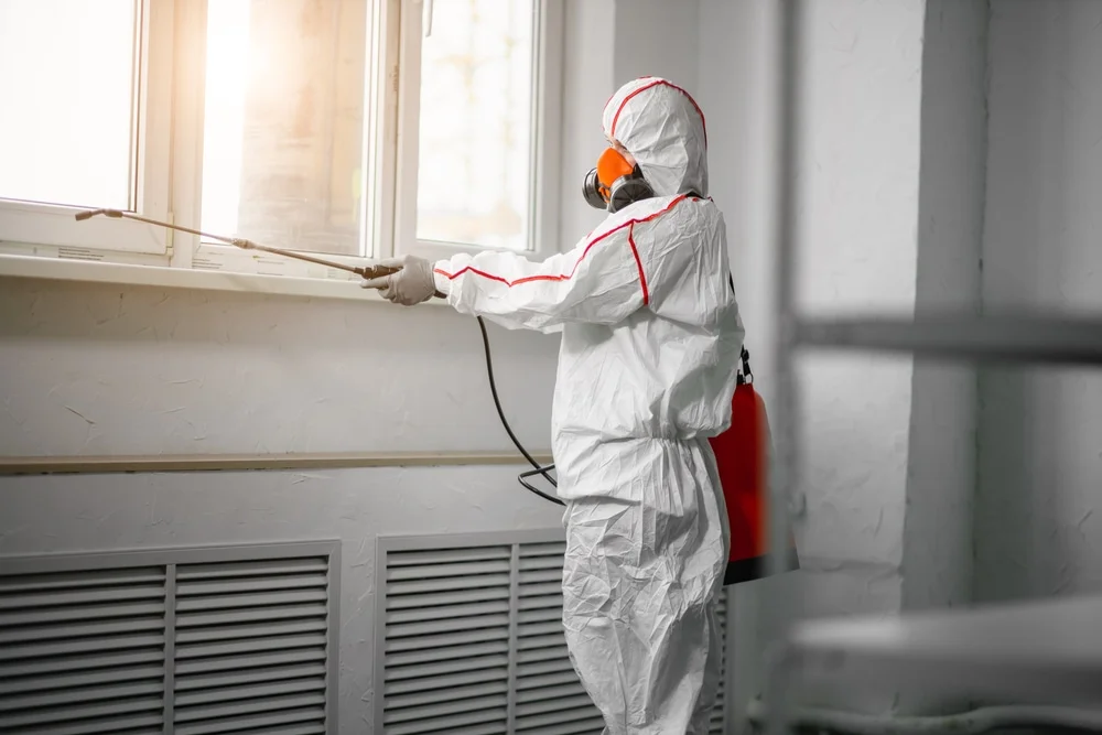 Professional mold remediation services in Peterborough, NH